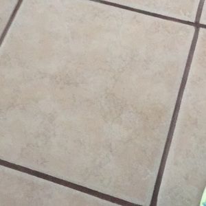 Meet your Posher, Sandy